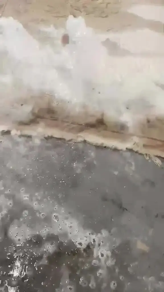 Rinçage à grande eau d'un tapis