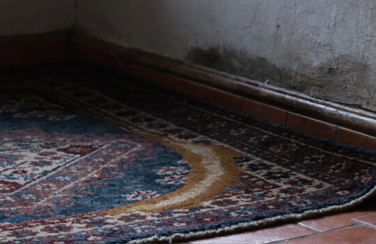 Tapis marqué d'une auréole après un dégât des eaux