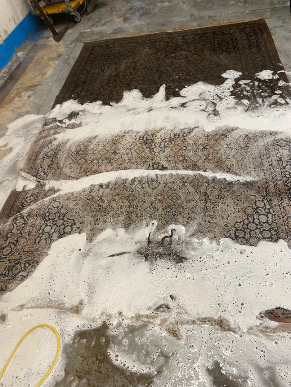 Rinçage d'un tapis à grande eau